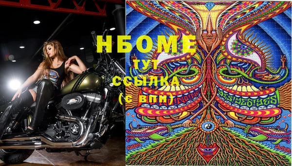 ешки Алексин