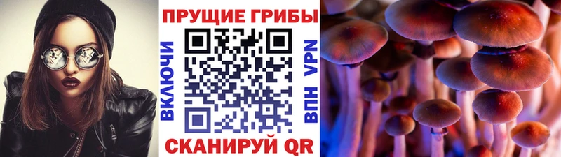 Псилоцибиновые грибы мухоморы цена Люберцы