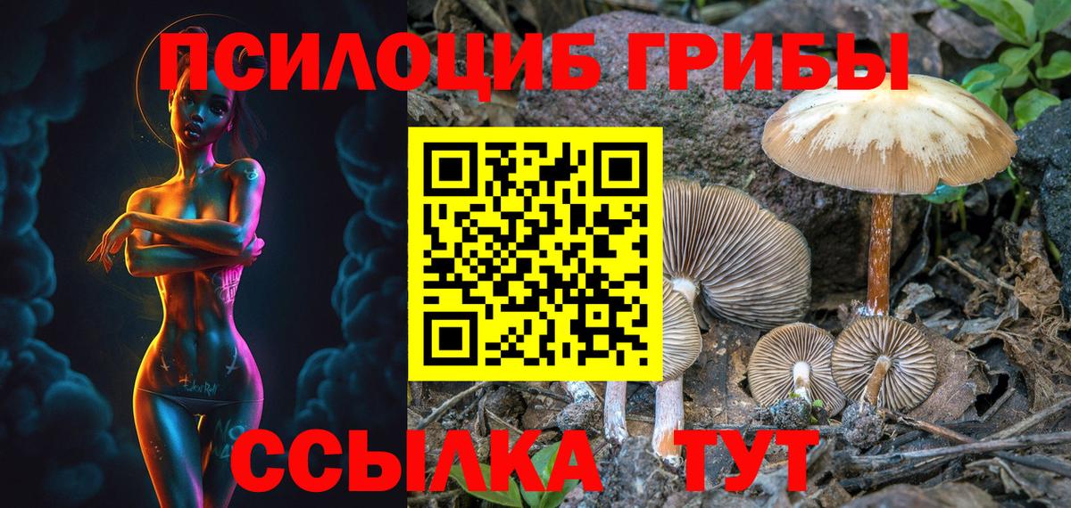 Галлюциногенные грибы прущие грибы Люберцы
